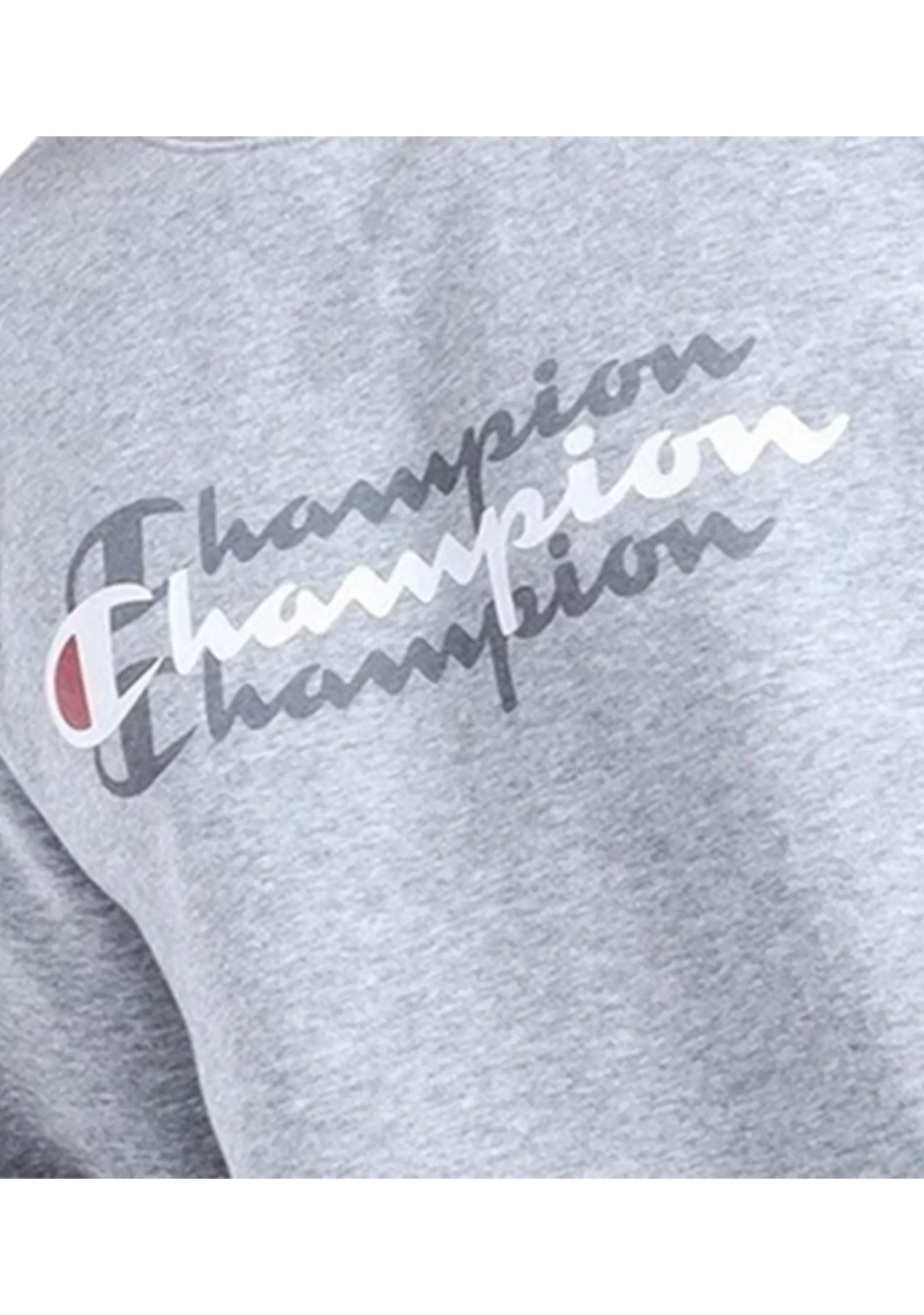 Champion Mens Sporty Graphic Crew <br> AXWTN