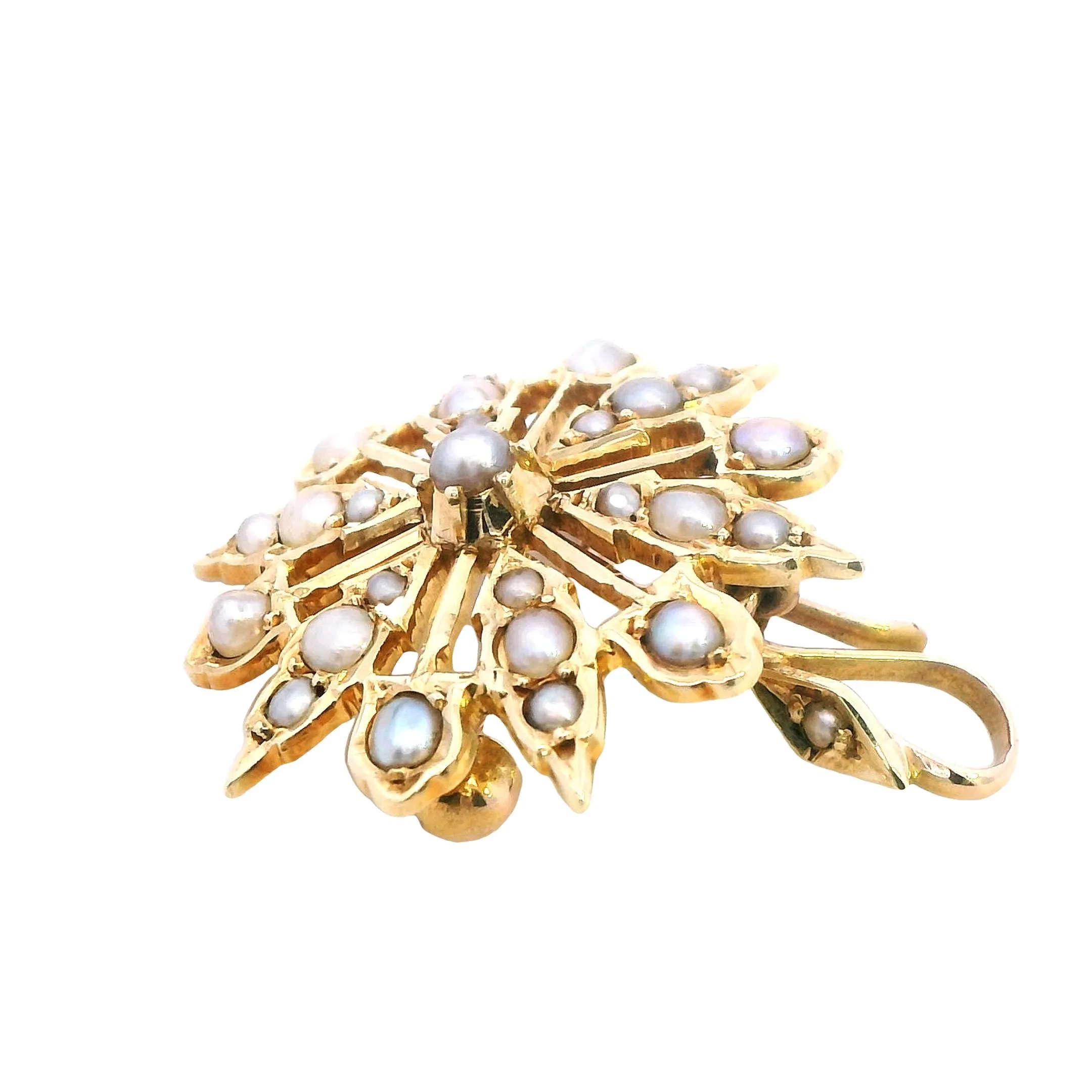 Embrace Radiance with Our 15ct Yellow Gold Pearl Set Star Pendant Brooch